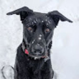 Meet your Posher, Eamonn